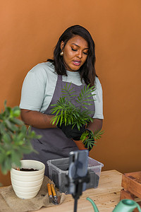 非裔美国花艺博主拍摄关于在家庭花园中移植植物的教程视频。