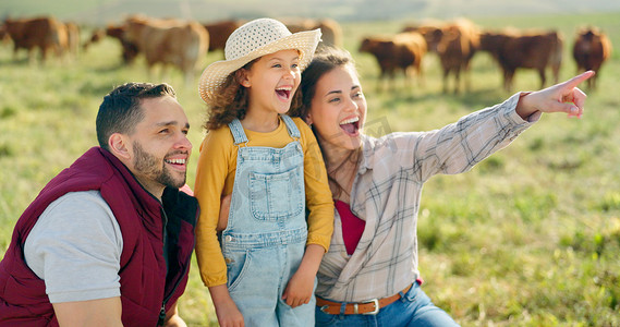 幸福的家庭在养牛场结合在一起，快乐、欢笑和了解大自然中的动物。