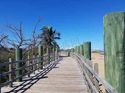 波多黎各伊莎贝拉海滩的木板路或树木小径