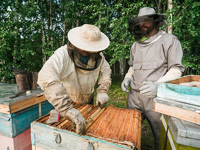 蜜蜡手镯摄影照片_养蜂人手里拿着一个蜜室，手里拿着蜜蜂。