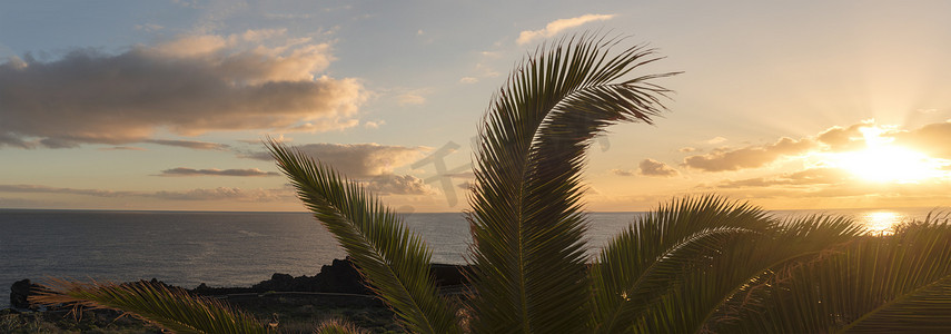在加那利岛拉帕尔马岛的 Los Cancajos，在平静的海洋上欣赏美丽的橙色日出的全景，棕榈树叶的轮廓。