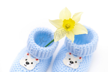 一双蓝色可爱针织婴儿袜、短靴和黄色水仙花的特写俯视图。