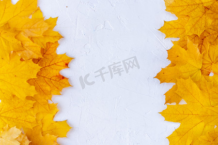 文本框复古复古摄影照片_白色背景顶视图上的秋叶框秋季边框黄色和橙色叶子复古结构表复制文本空间。
