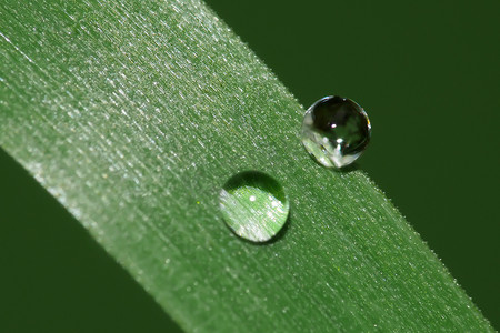 两滴雨