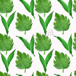 龟背竹绿叶的无缝水彩图案。