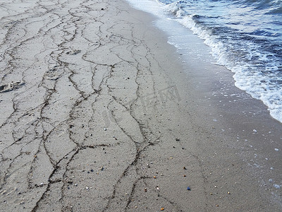 沙滩上的海藻与沙子和水