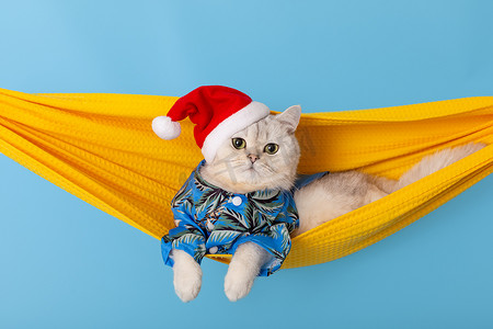 一只快乐的白猫，身穿蓝色衬衫，头戴红色圣诞帽，躺在黄色织物吊床上
