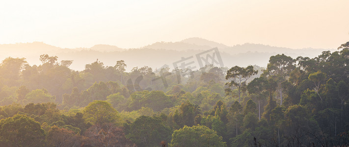 日落时的热带雨林全景。