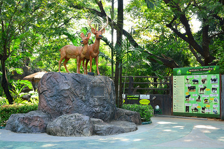 考斯特摄影照片_泰国曼谷考丁公园杜斯特动物园的鹿雕像