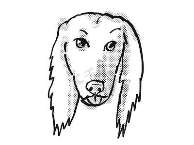 手绘卡通线条画摄影照片_阿富汗猎犬品种卡通复古绘图