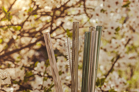 自然背景中可重复使用的玻璃吸管，绿叶春花环保。