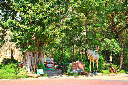 曼谷考丁公园杜斯特动物园的非洲大草原区，