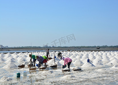 工人在泰国的盐锅里铲盐，在泰国 Phetchaburi 省的田里制作海盐