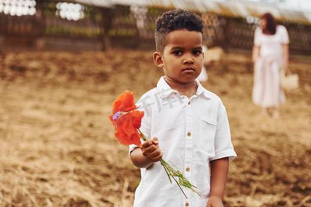 夏季，可爱的非洲裔美国小男孩在农场里拿着红花