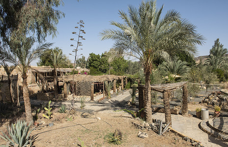 Eco Lodge 度假村位于埃及村庄，设有室外区域