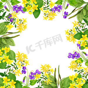 手绘花卉边框摄影照片_水彩野花、边框、手绘插图