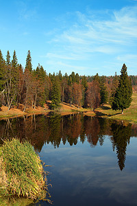 与森林湖的秋天风景