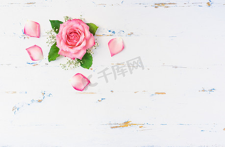 白色木质背景上优雅的粉红色玫瑰花