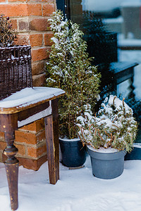 天然圣诞装饰，藤篮树枝和花盆松树在冬季雪季装饰入口店-圣诞假期和城市市场商店概念