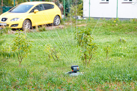 一台自动喷雾器正在灌溉私人住宅后院的绿色草坪和幼树。