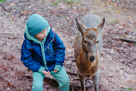 可爱的孩子喂小鹿。
