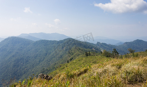 有草地绿色山天空和 C 的 Phu Chi Fa 森林公园