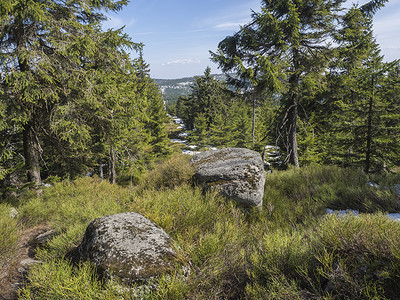 Jizera Mountains jizerske hory 全景景观，从 holubnik 山的山脊欣赏郁郁葱葱的绿色云杉林、树木、巨石和蓝天背景，春天还有雪