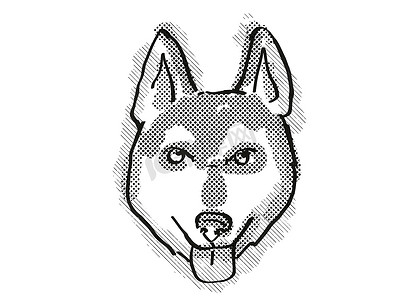 手绘宠物狗摄影照片_阿拉斯加 Klee Kai 狗品种卡通复古绘图