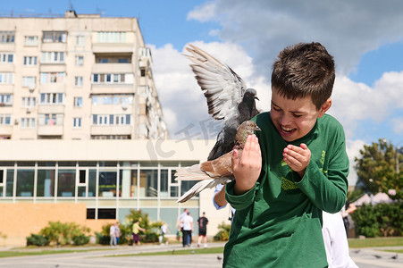 十几岁的男孩在户外喂岩鸽。