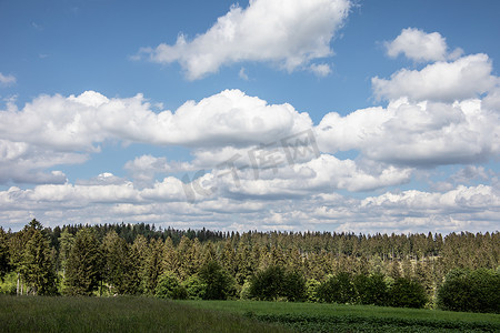 广袤的森林摄影照片_夏季有草地和森林的 Rothaar 山脉