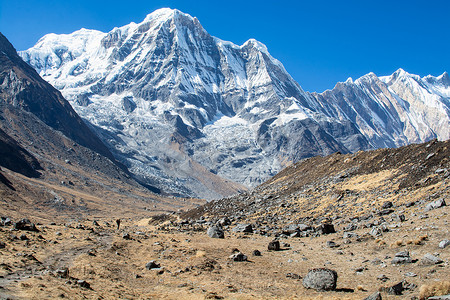 纳帕尔喜马拉雅山脉的山峰