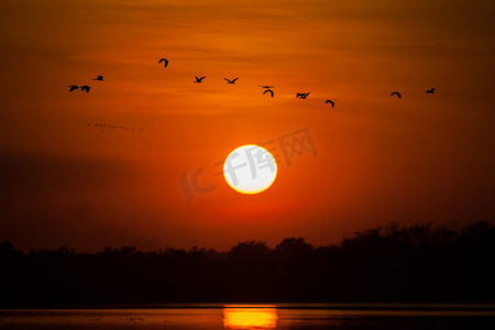 鸟儿在夕阳下飞翔，背后是大坝水面上的山倒影