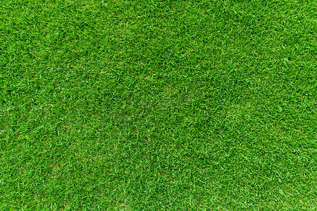 绿色景观草坪作为背景或墙纸。