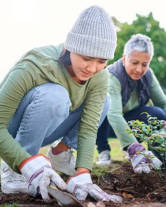 植物、社区服务和妇女在公园、花园和大自然中为可持续发展做志愿者。