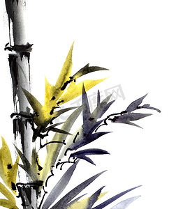 水彩的竹子摄影照片_有叶子的水彩竹子