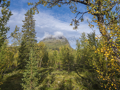 在瑞典 Sarek 国家公园的白桦林和云杉林中欣赏 Skierfe 山峰。