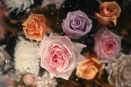 透明玻璃下有大量柔和的彩色玫瑰，有凝结滴落的质感。
