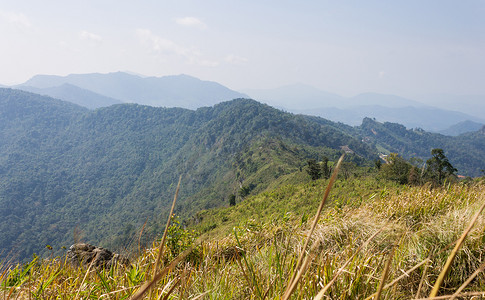 有草地绿色山天空和 C 的 Phu Chi Fa 森林公园