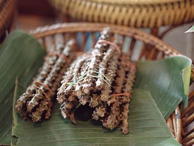 手绘绿色心摄影照片_在市场上的 Tinospora cordifolia 草本泰国