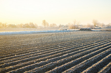 冬季农田准备好迎接新的种植季节。
