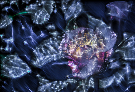 3d鲜花摄影照片_具有高能量 kirlian fie 的春天花朵的 3D 插图