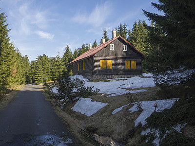 春天 Jizerske hory 山柏油路旁的木屋、小木屋，郁郁葱葱的绿色云杉林，阳光明媚的日子里有雪，蓝天背景