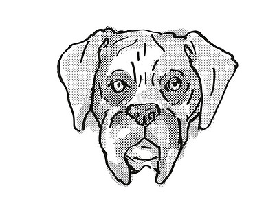 拳师犬品种卡通复古绘图