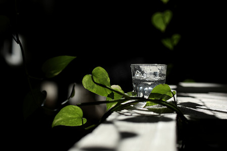 白色桌子上放着一杯水，上面有阳光和绿叶。