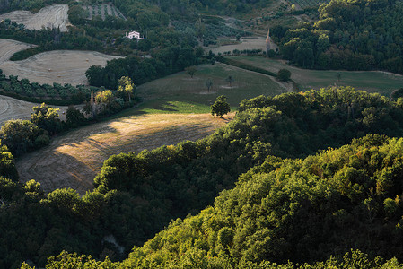马尔凯摄影照片_意大利马尔凯地区 Belvedere Fogliense 附近的田野和树木景观