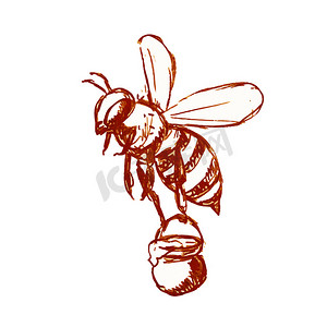 蜜蜂提着一桶蜂蜜画黑白