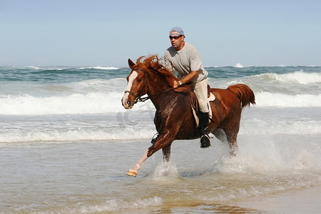 奔跑的马在海滩