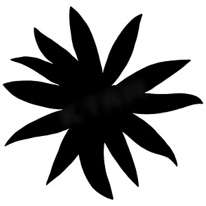手绘向日葵花卉摄影照片_手绘 Topinambur 剪影孤立在白色背景上。