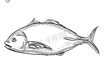 Trevally 新西兰鱼卡通复古绘图