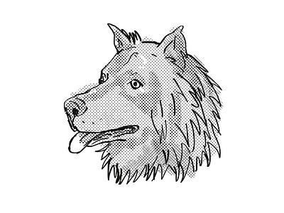 Eurasier 或 Eurasian Spitz 狗品种卡通复古绘图